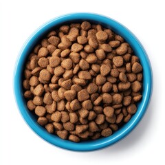 Dog food in blue bowl