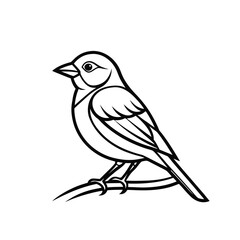 Minimal Bird Line Drawing – Clean Sparrow Art