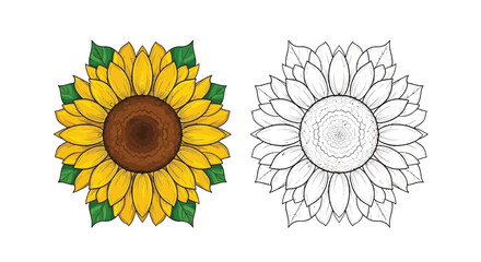 Fototapeta premium Bright Symmetrical Sunflower Mandala Coloring Page with Colored and Outline Art Mandalas