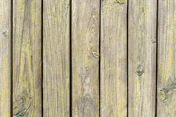 A texture with a beautiful natural aged wooden background with peeling green paint on the boards.