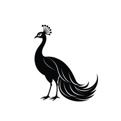 Fototapeta premium Standing Peacock in Profile – Royal Bird Illustration