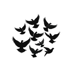 Group of Flying Birds – Freedom Silhouette