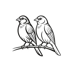 Pair of Sparrows on a Branch – Outline Illustration
