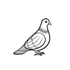Standing Pigeons – Black and White Line Art