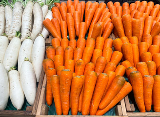 Fresh organic vegetables in basket for selling in the supermarket. Carrot, White radish