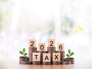 Wooden blocks with the word TAX, Number 2026 and plants growing up on stack of coins. The concept of prepare to pay tax in year 2026