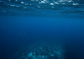 Underwater Ocean Scene Azure Blue Water, Reefs, Aquatic Environment, Marine Life Habitat.