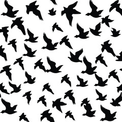 Black silhouettes of birds in flight on a white background flying flock