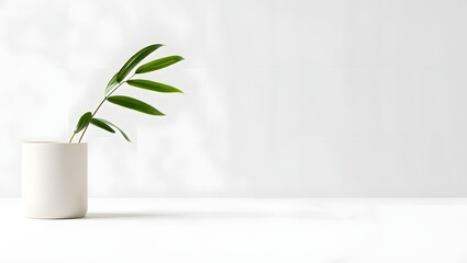 Minimalist plant photography white background modern home decor green leaves in vase nature art