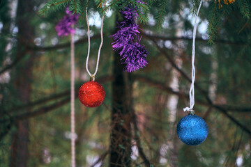 bright Christmas balls hang on a real Christmas tree in the forest. Christmas decoration