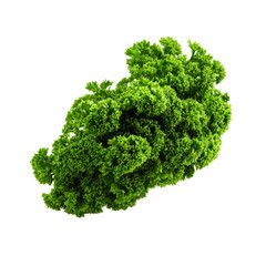 Fototapeta premium Fresh, vibrant green leafy cluster
