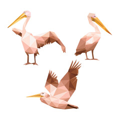Pelican animal abstract low poly set. Pelican Polygonal illustration Collection.