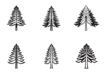 Fototapeta premium set of redwood tree icon line art vector illustration