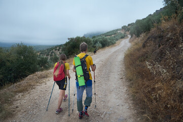 Couple Hiking Together in Scenic Mountain Landscape with Trekking Poles and Dog on Trail