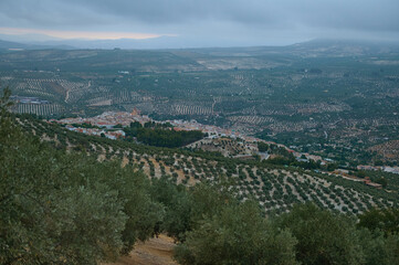 Scenic View of a Small Village Amid Rolling Hills and Olive Groves on a Cloudy Day