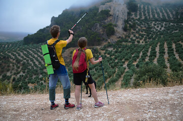 Active Couple Hiking with Dog Through Mountainous Olive Groves