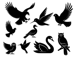 Collection of black bird silhouettes including an eagle dove swan owl and hummingbird isolated on white background
