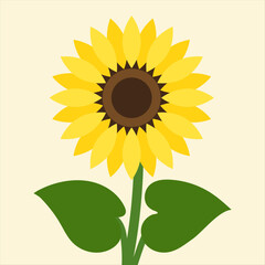 Sunflower_해바라기