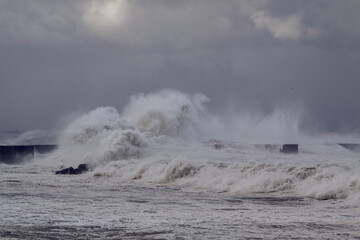 Winter sea storm