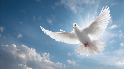 Fototapeta premium Peaceful white dove flying in bright blue sky with fluffy clouds and sunlight.