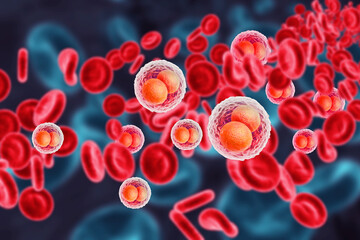 Blood cells. Platelet Rich Plasma for Knee Osteoarthritis. 3d illustration