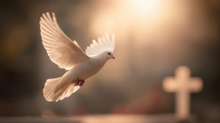 Peaceful white dove flying in warm sunset light with blurred background and cross.