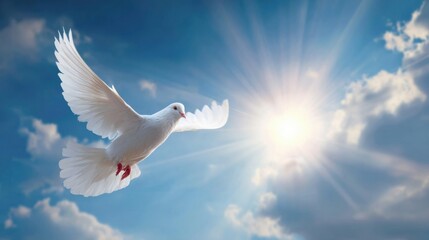 Fototapeta premium Serene white dove flying with outstretched wings under a bright sky with sun rays.