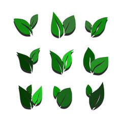 Set of green leaves isolated vector on white background