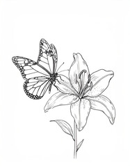 Detailed black and white sketch of blooming lily flower with butterfly
