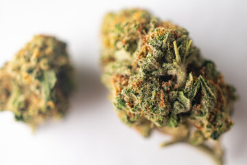 Green Dried Marijuana Buds Close Up macro. Cannabis trichomes strains.