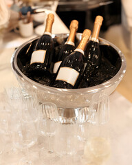 Elegance on Ice