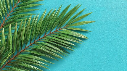 Vibrant green palm fronds against a bright turquoise background.