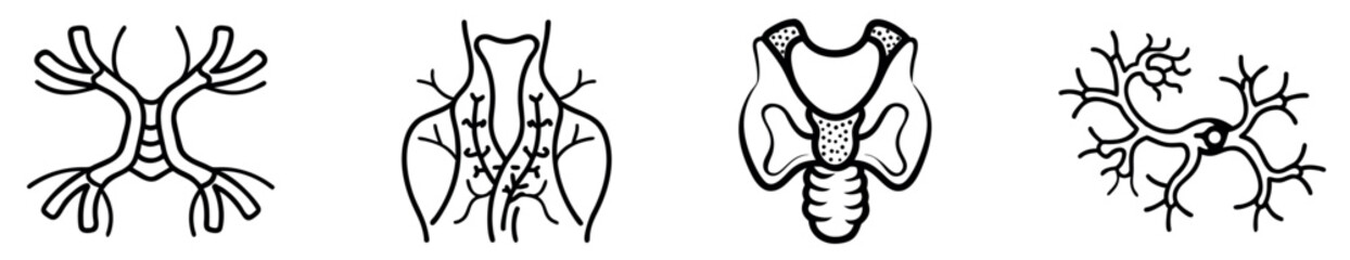 Endocrine and Lymphatic System Icons