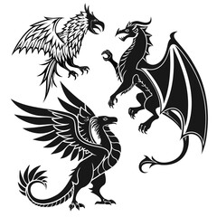 black and white dragons