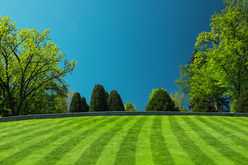 Fresh green lawn with stripes on sunny day