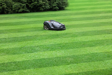 Modern lawn mower on striped green grass outdoors