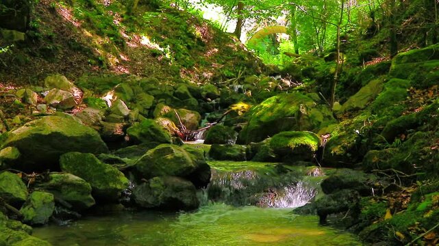 A 20-second video still shot of the Aguzou River in the Hautes Corbi&egrave;res mountains of southern France. Small waterfalls in the middle of the forest.
