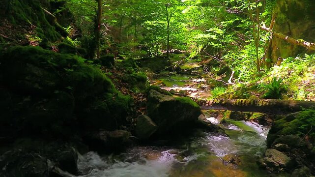 A 20-second video still shot of the Aguzou River in the Hautes Corbi&egrave;res mountains of southern France. Small waterfalls in the middle of the forest.

