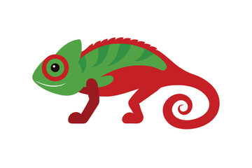 Chameleon Furcifer Pardalis Ambilobe 18 Months