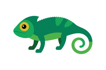Chameleon Furcifer Pardalis Ambilobe 18 Months