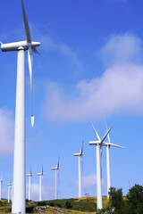 Vertical Image of Windmills on a Hill Under a Clear Blue Sky
