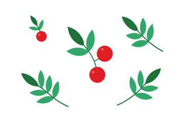 Hawthorn Berries And Fennel Leaves Seamless Illustration