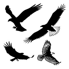 Obraz premium set of silhouettes of birds