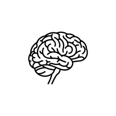 Line art illustration of a human brain, showcasing its intricate folds and structure.