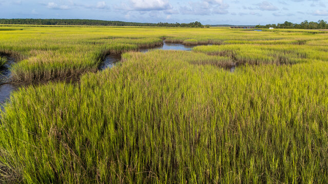 Scenic view of marshlands with winding waterways under clear skies during daylight hours