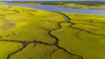 Scenic view of marshlands with winding waterways under clear skies during daylight hours