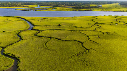 Scenic view of marshlands with winding waterways under clear skies during daylight hours