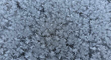 Delicate frost crystals on glass creating an intricate winter pattern view from above