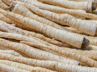 background parsnip white root, long root vegetables design cooking