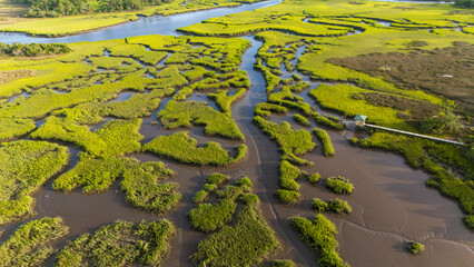 Lush green marshlands with winding waterways showcase nature's intricate beauty in a tranquil landscape